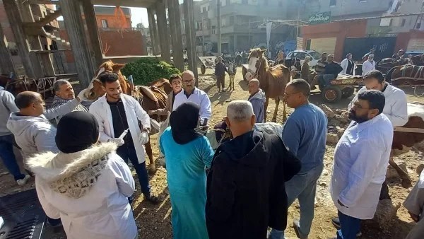 2923 قافلة بيطرية مجانية لخدمة 2616 قرية في 2025