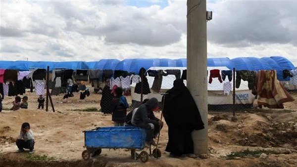 حقيقة فيديو هروب عائلات داعش من مخيم الهول