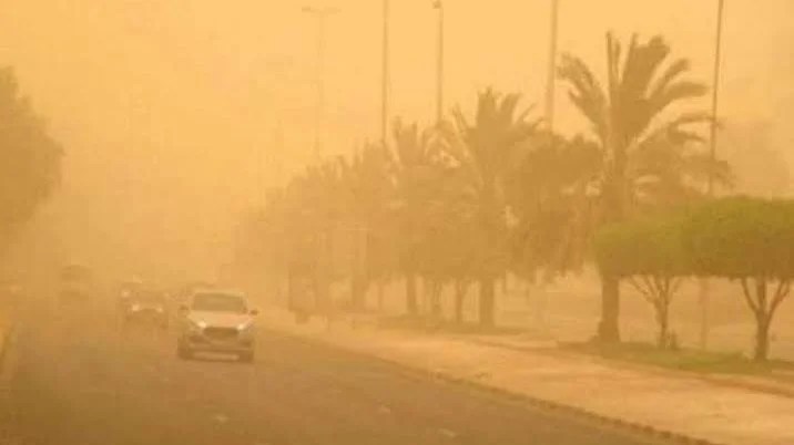 سقوط نخلة يودي بحياة شاب في البدرشين