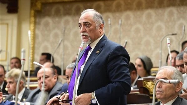 12 مليون مواطن مصري من ذوي الإعاقة