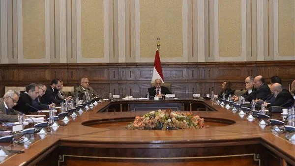 استراتيجية وطنية شاملة لذوي الإعاقة في مصر