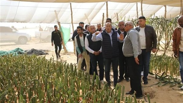 محافظ الوادي الجديد يتفقد مشروع زراعة النخيل