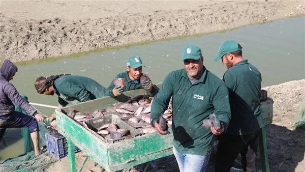 محافظ الوادي الجديد يتفقد مشروع الاستزراع السمكي بالفرافرة