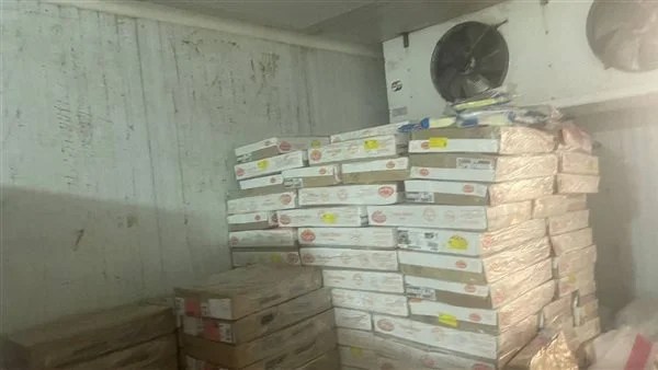 ضبط 8.5 طن دواجن بدون فواتير في القليوبية