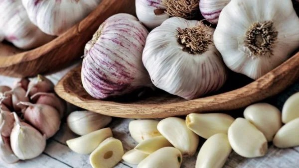 صادرات الثوم المصري تحقق أرقاماً قياسية في 2025