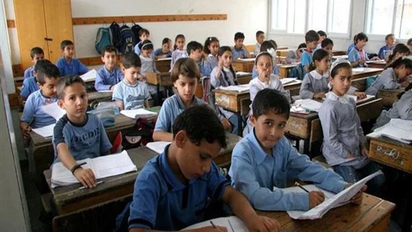 بوابة نتائج التعليم الأساسي القاهرة 2026 متاحة الآن