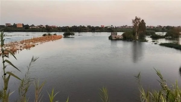 تفاصيل مروعة حول مقتل 4 أطفال في الإسكندرية