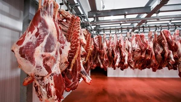 استقرار أسعار اللحوم في الأسواق المحلية اليوم
