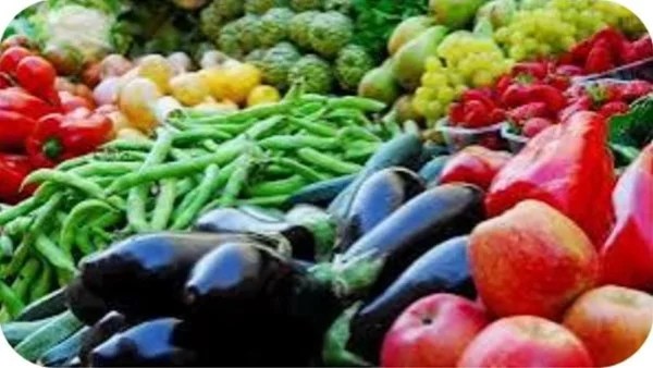 دعم زراعة الفلاحين يسهم في استقرار الأسواق