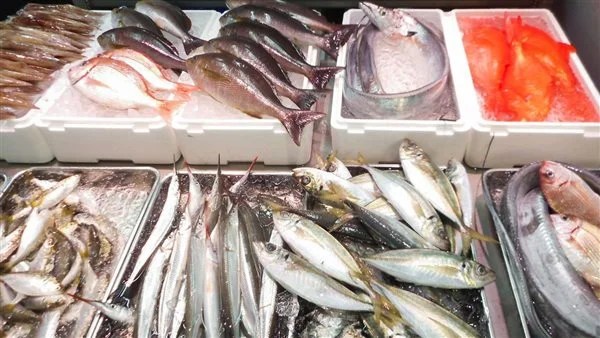 أسعار الأسماك والجمبري في الأسواق اليوم