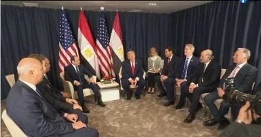 جهود الرئيس السيسي لتحقيق السلام في غزة