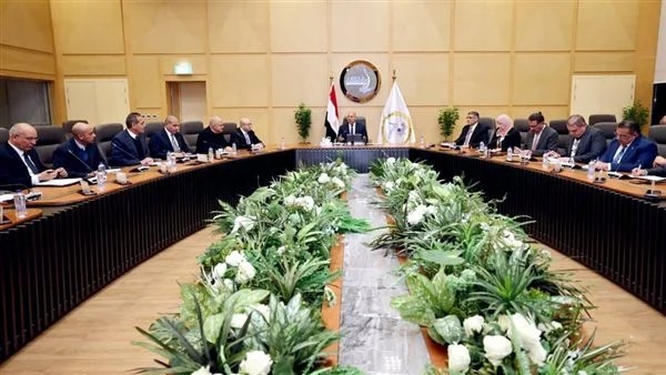 استثمار جديد يرفع كفاءة المناطق الصناعية في مصر