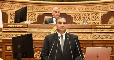 اقتراح بإلغاء الإعفاء الجمركي على الهواتف للمصريين بالخارج