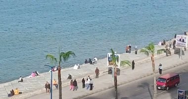 طقس الإسكندرية اليوم: مائل للبرودة وشبورة مائية