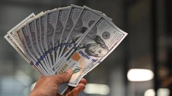 استقرار أسعار الدولار مقابل الجنيه المصري اليوم