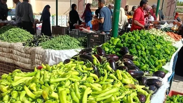 أسعار الخضروات والفاكهة اليوم 14 يناير 2026