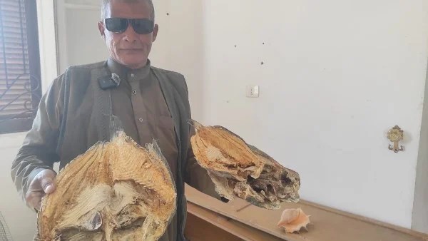 تجفيف الأسماك: تراث بدوي من زمن الفراعنة