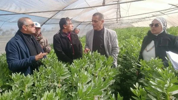 دعم وزارة الزراعة للمزارعين في الغربية