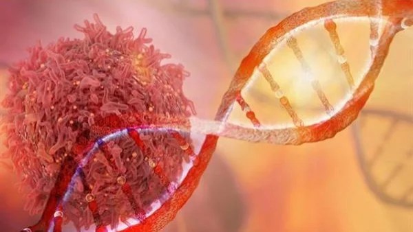 مرض السرطان ومخاطر السمنة