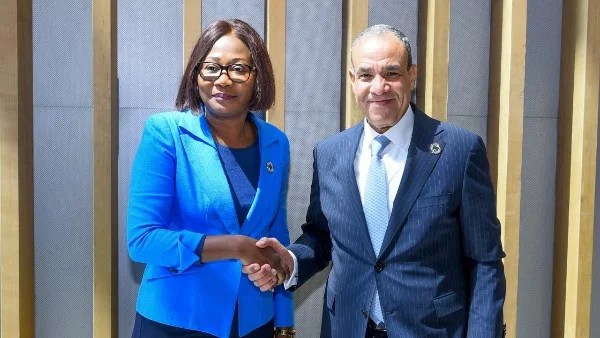 مناقشة تعزيز التبادل التجاري مع أفريقيا الوسطى