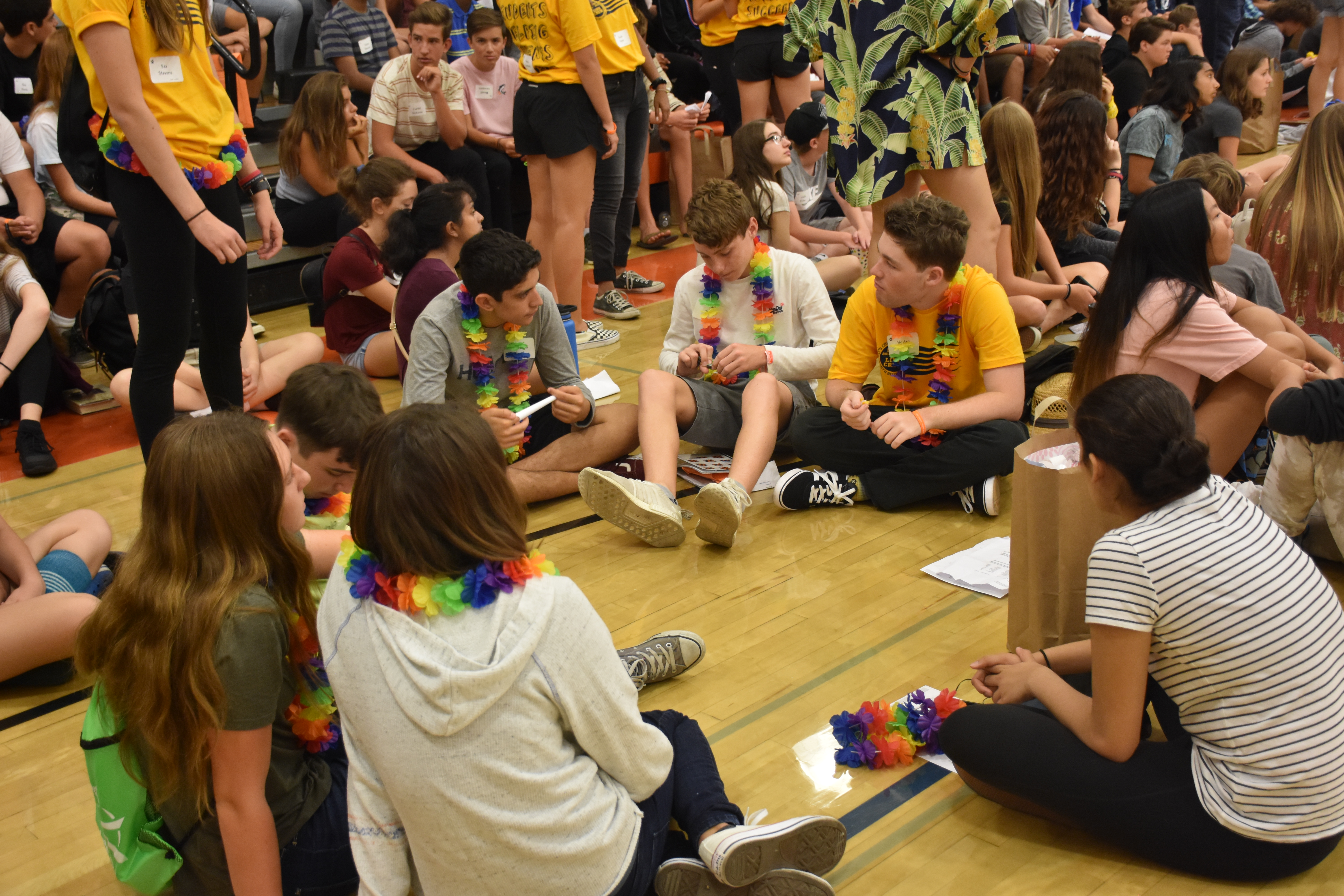 Freshmen and their Link Crew leader introduce each other