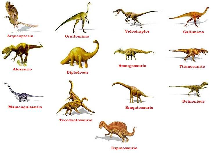Aunque por practicidad se denomina a este taxón ornitisquios, su nombre proviene del griego y significa 'cadera de ave', precisamente porque la . Epoca De Los Dinosaurios Elgeeky Com