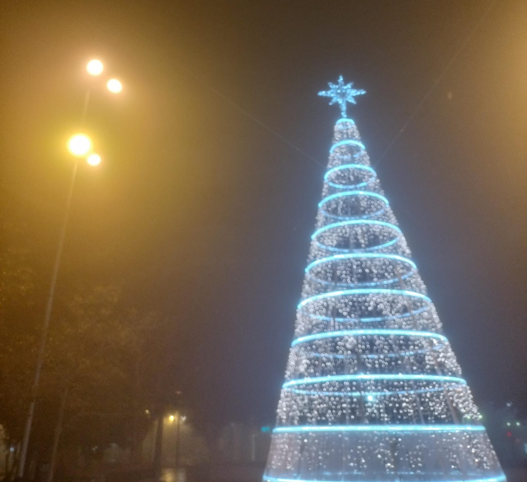 Dos mil veintitrés bajo un pañuelo