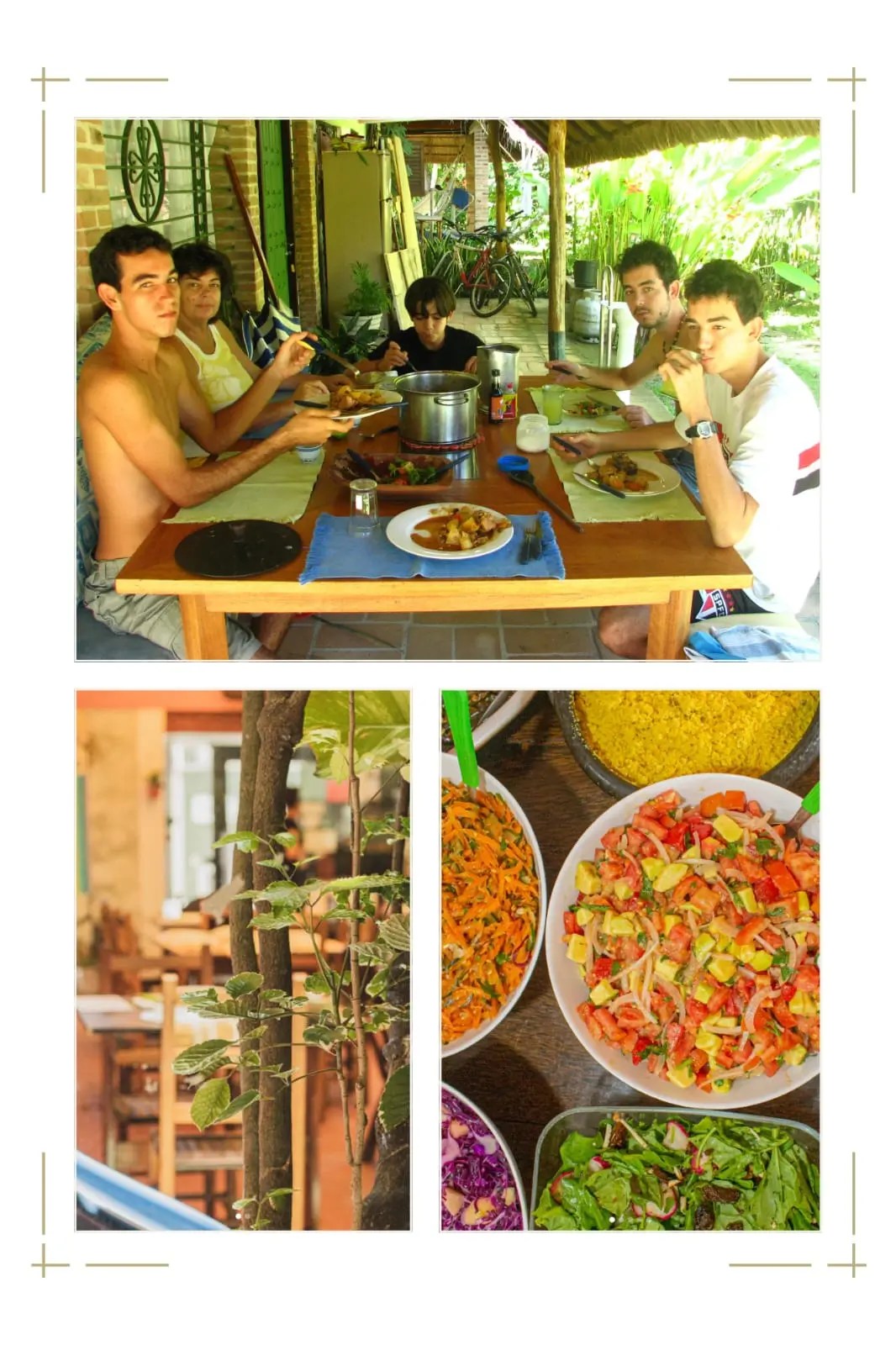 Imagem representando a filosofia macrobiótica