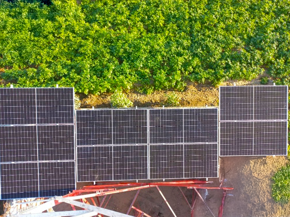 entel solar