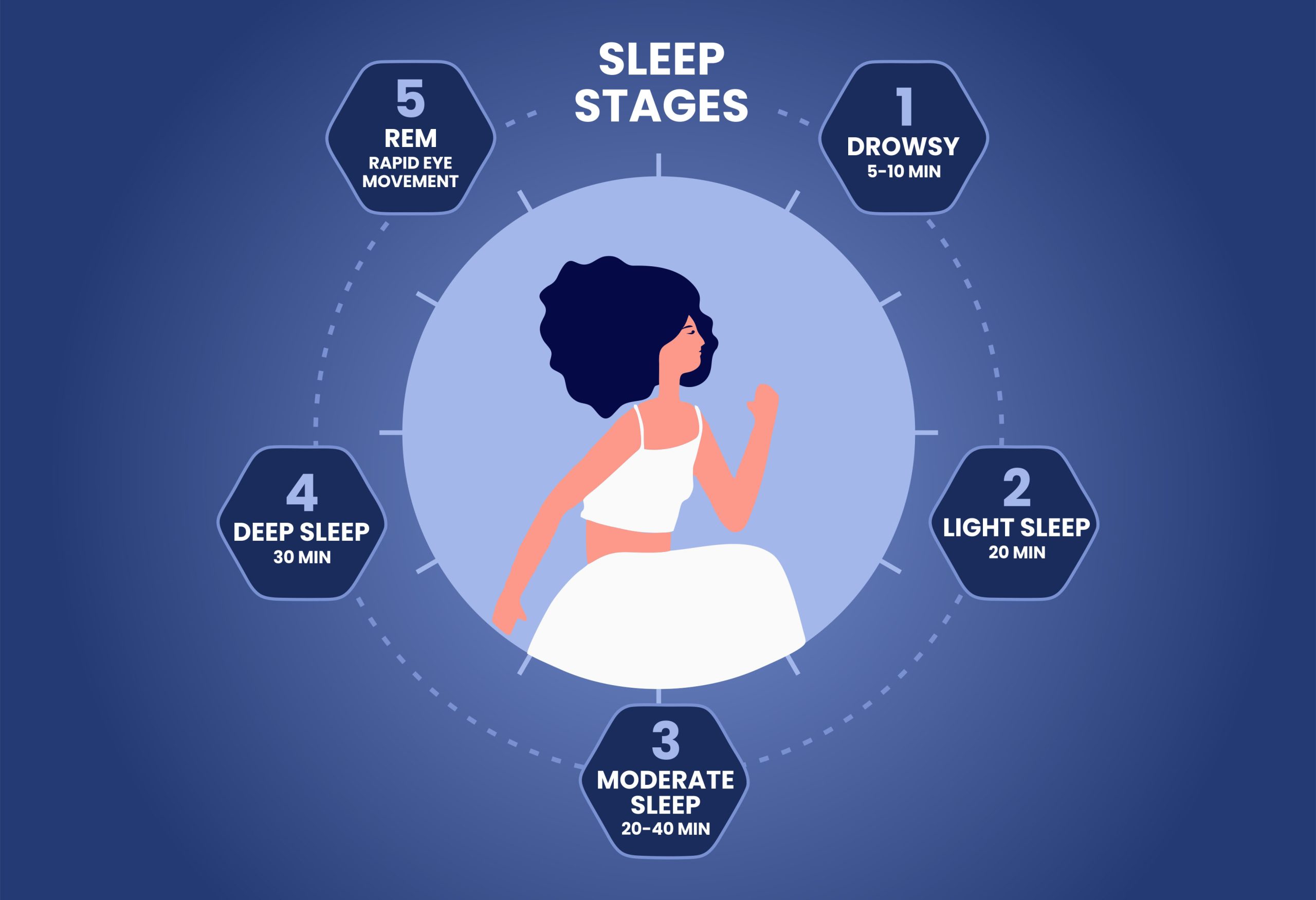 What are the stages of sleep?