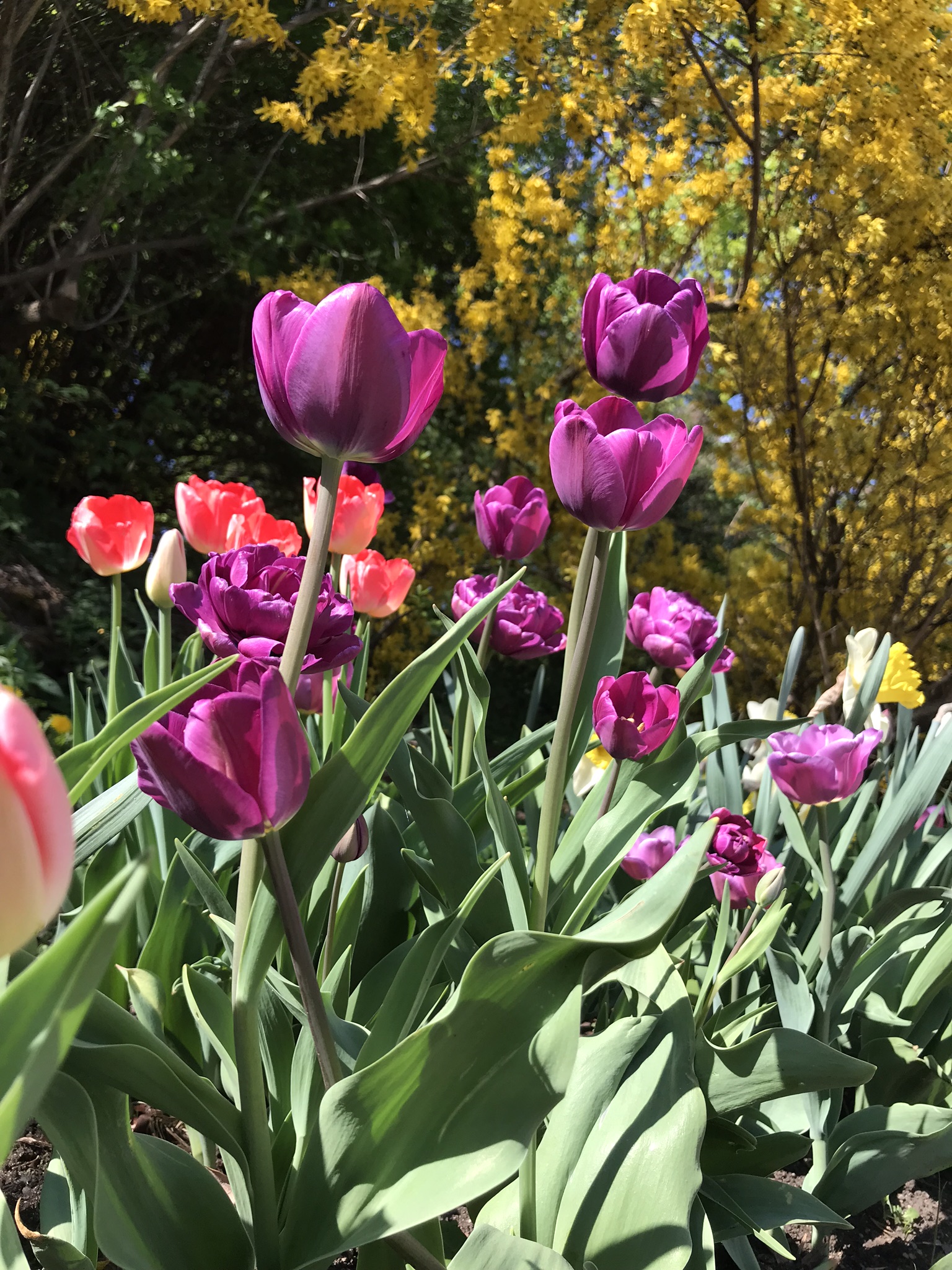 infotobloggen – Side 16 – – en fotoblogg som kan gjøre deg til en litt  bedre og litt klokere fotograf, image size:768x1024