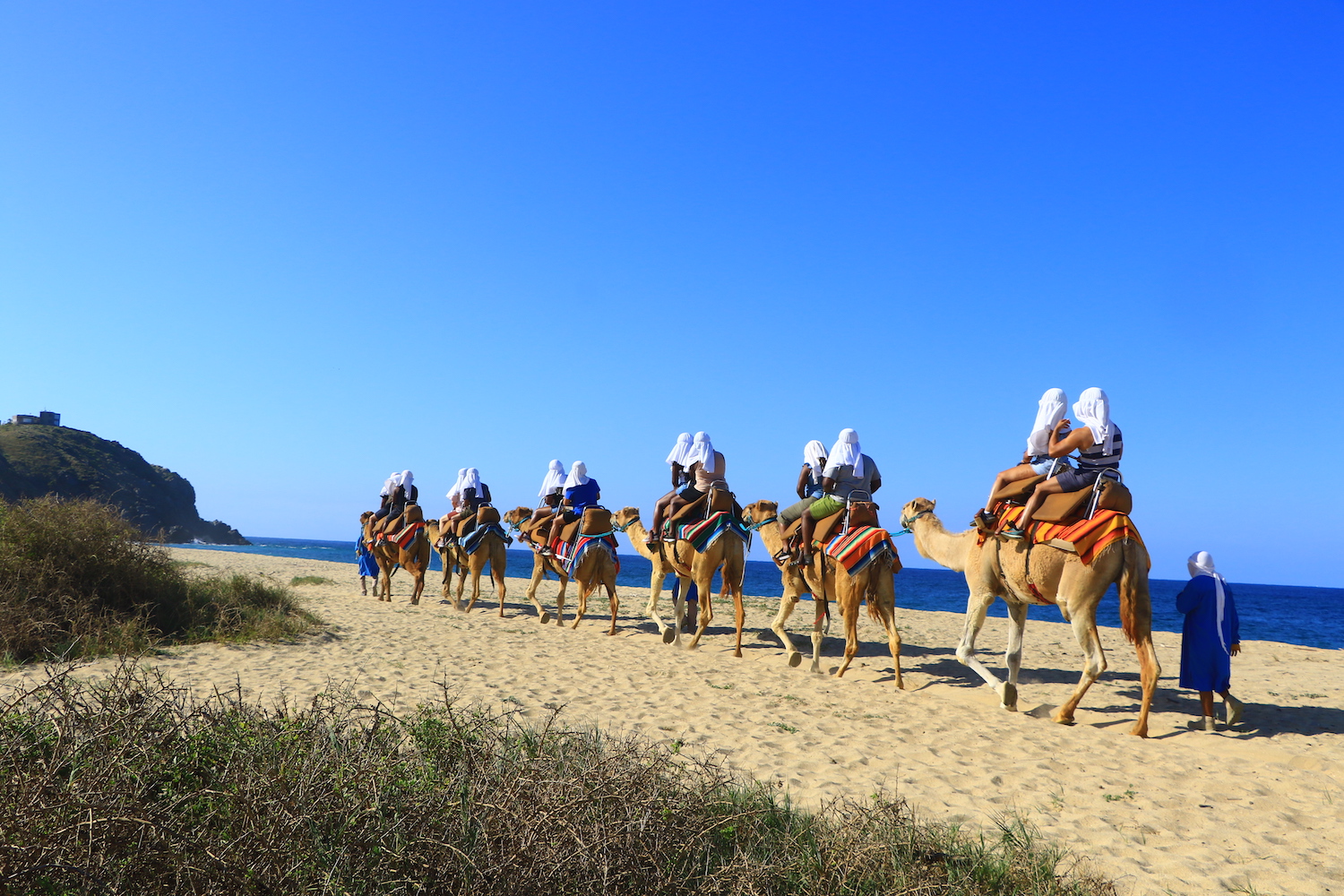 cabo adventures camel ride elicit folio