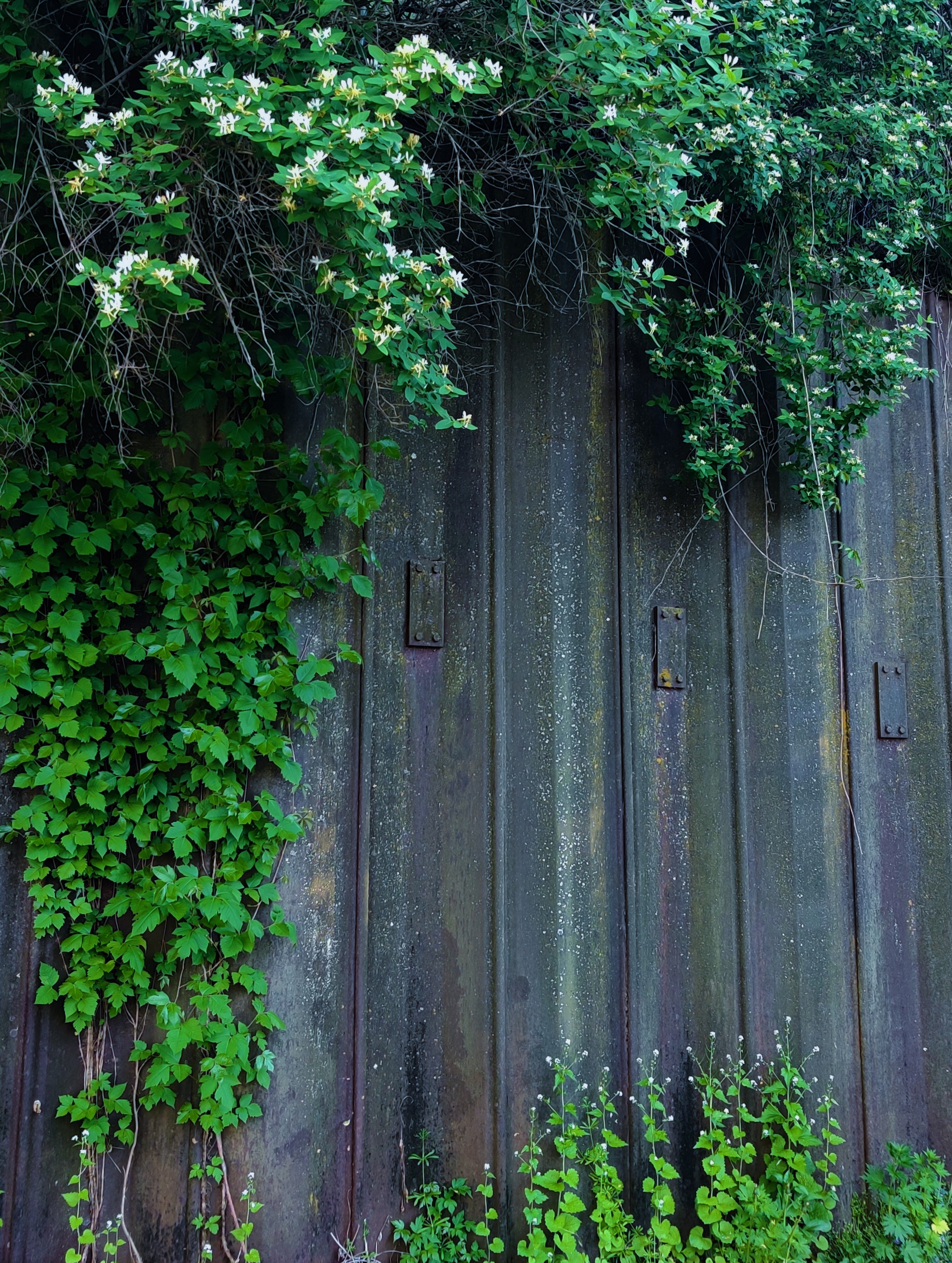 Rainbow rust on an old metal fence behind the old Magna
