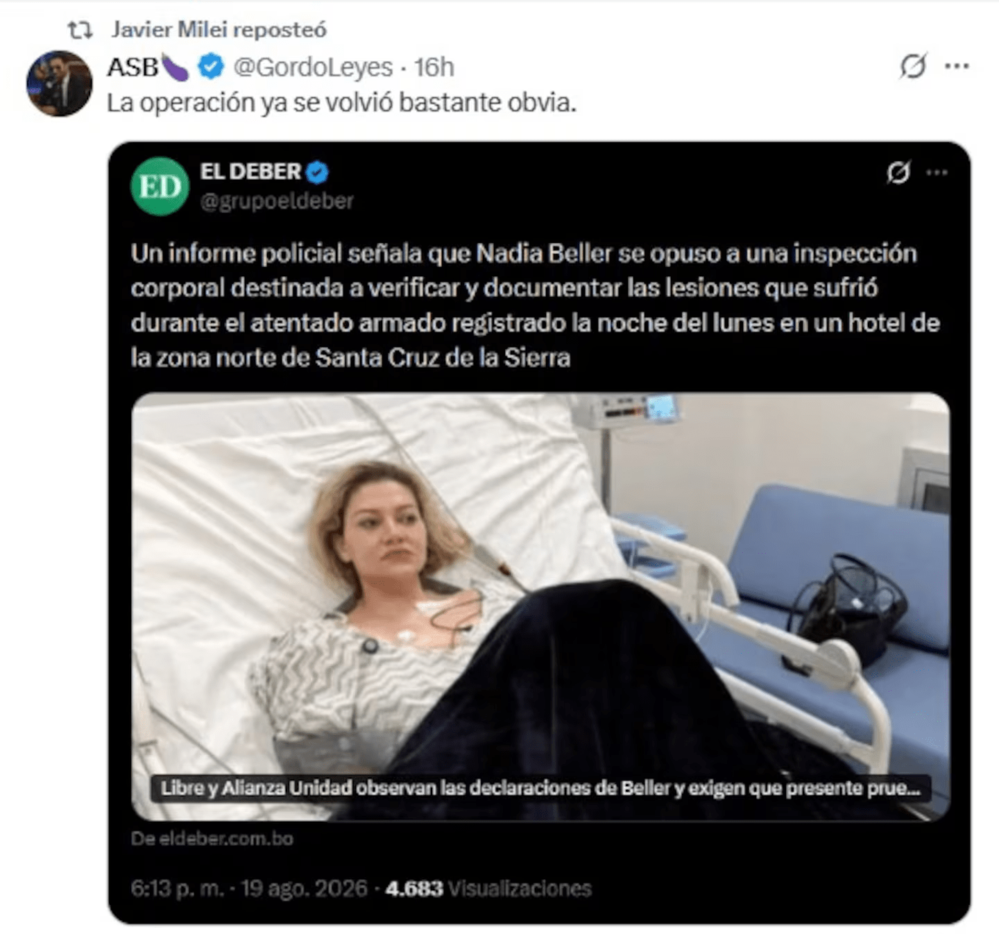 image-77 Milei compartió mensajes que cuestionan el ataque a la expareja de Fernando Cerimedo