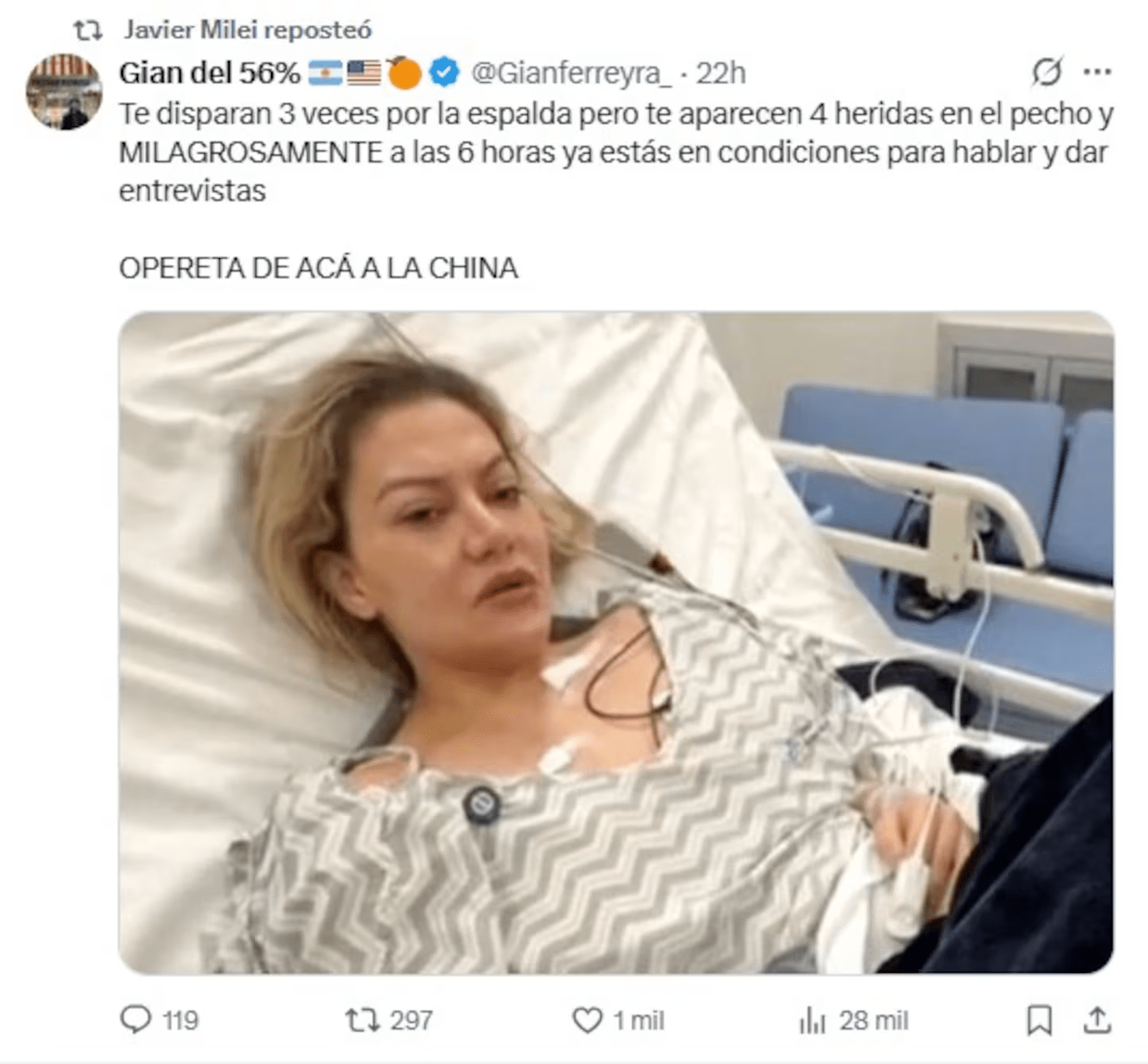 image-79 Milei compartió mensajes que cuestionan el ataque a la expareja de Fernando Cerimedo