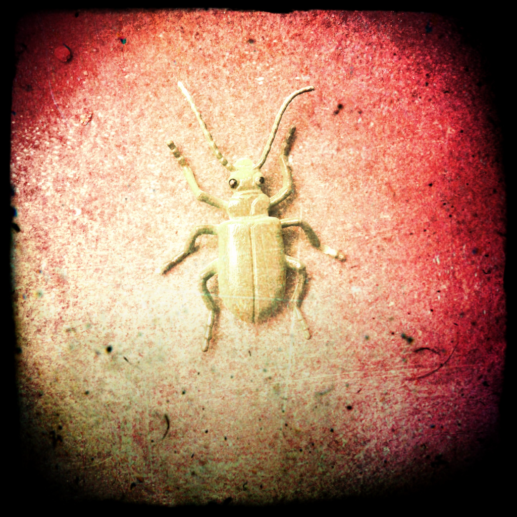 bug