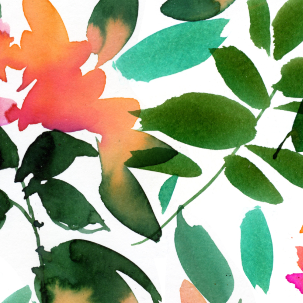 motif illustration fleurs fraîches