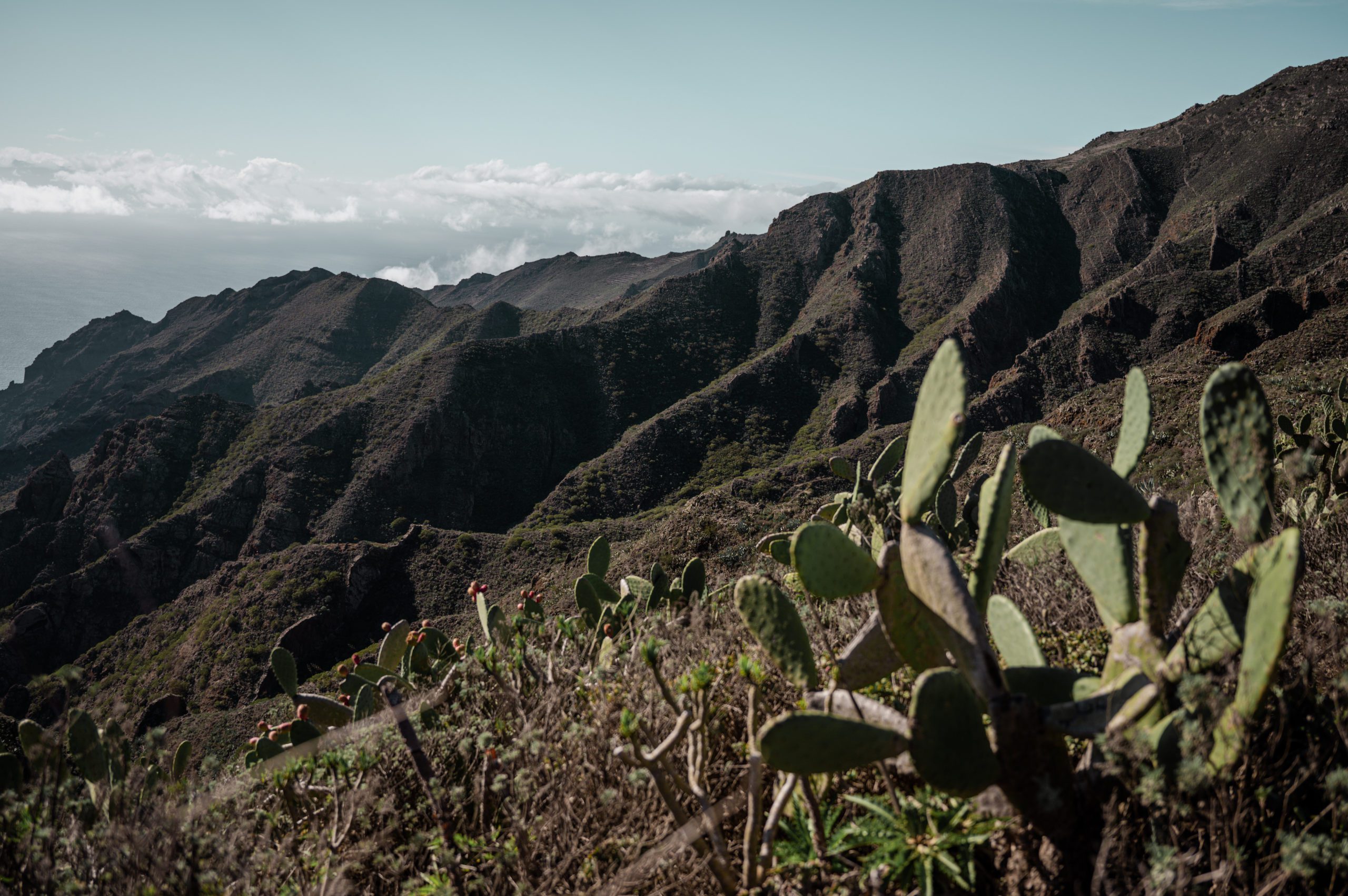 Mirador Altos de Baracán tenerife