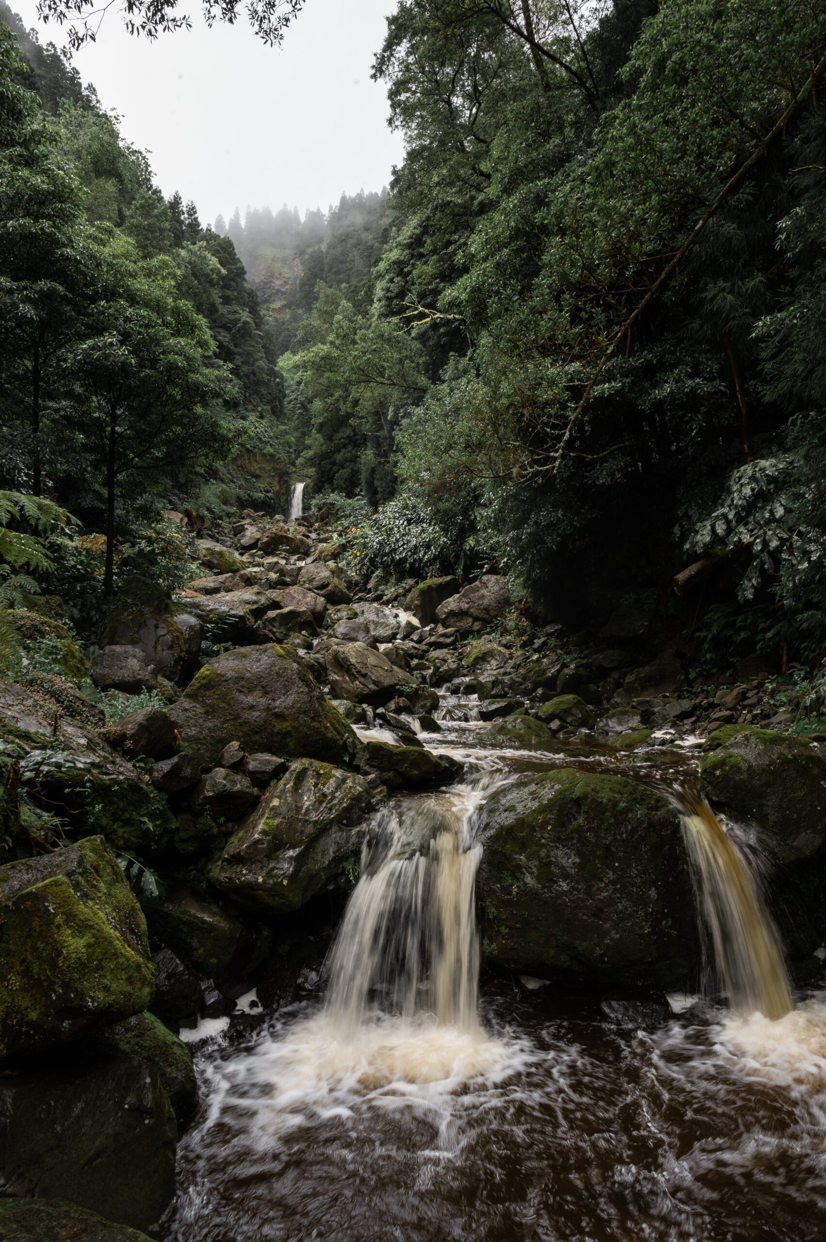 azory - sao miguel - Caldeiras das Furnas