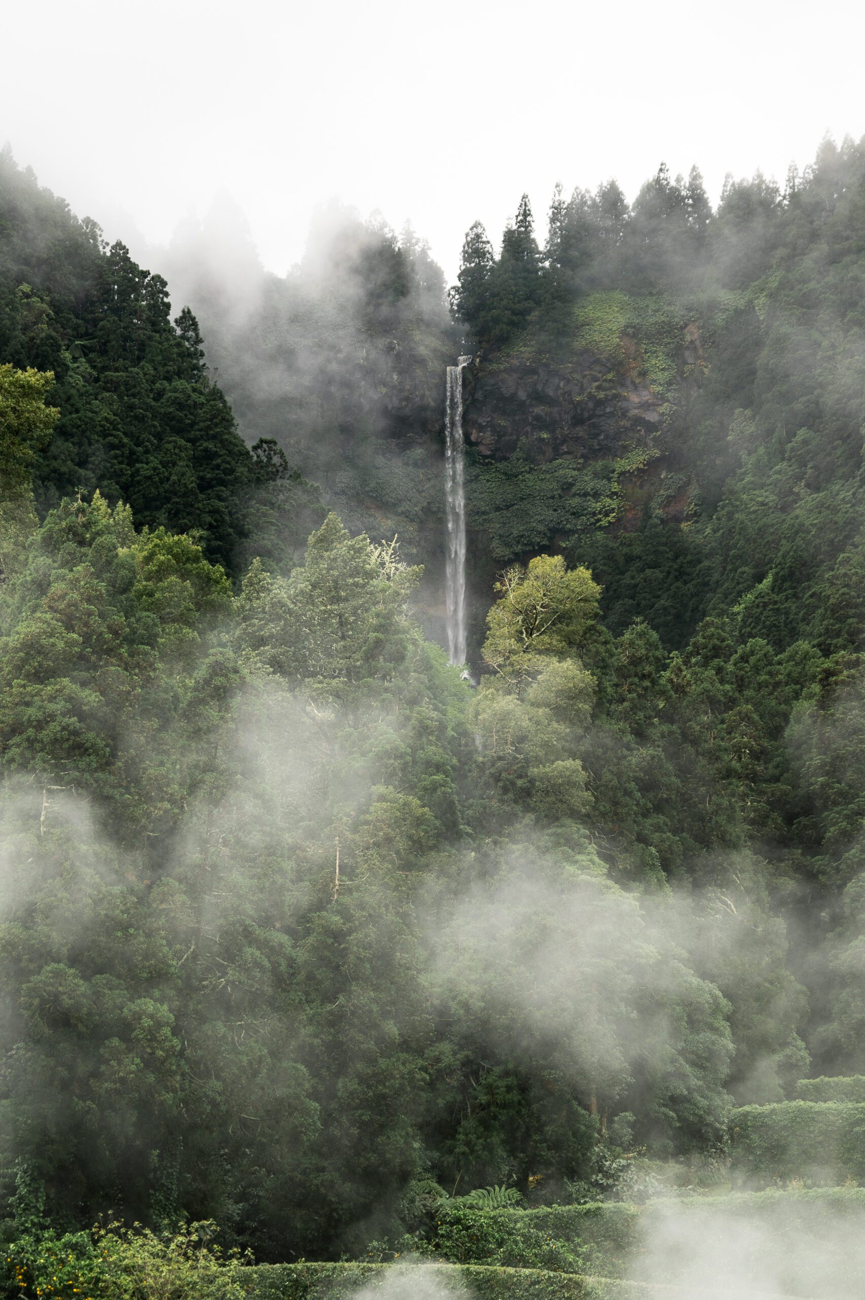 azory - sao miguel - Caldeiras das Furnas