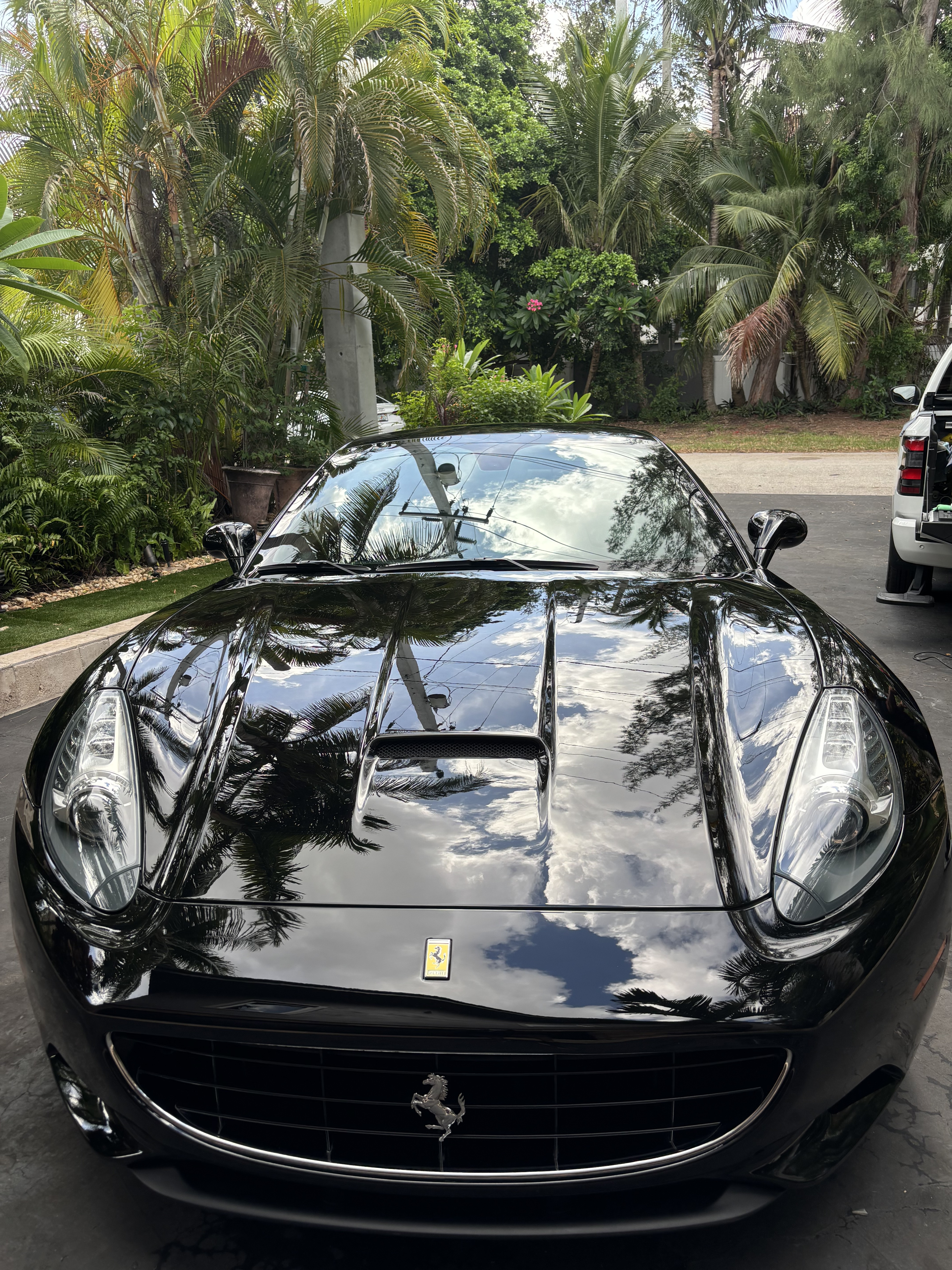 Black Ferrari detailed by Elite Mobile Detailing