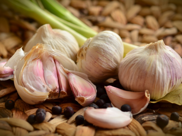 Garlic Boost Your Immune System 2