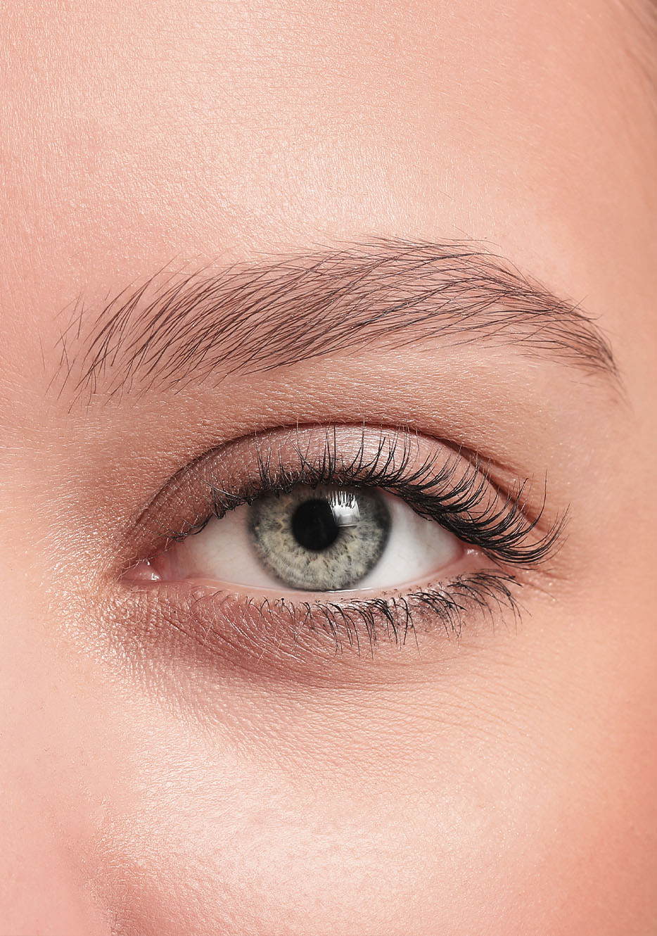 Maybelline Eyebrow Powder
