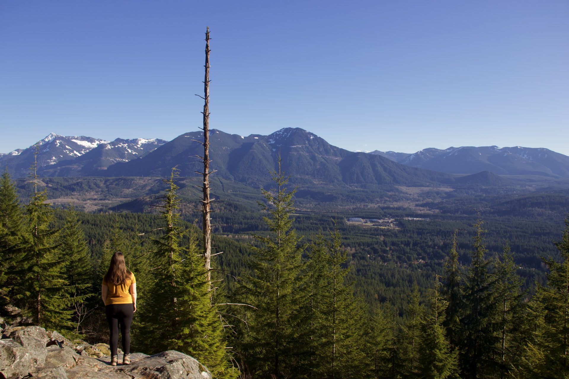 Teneriffe Falls Trail