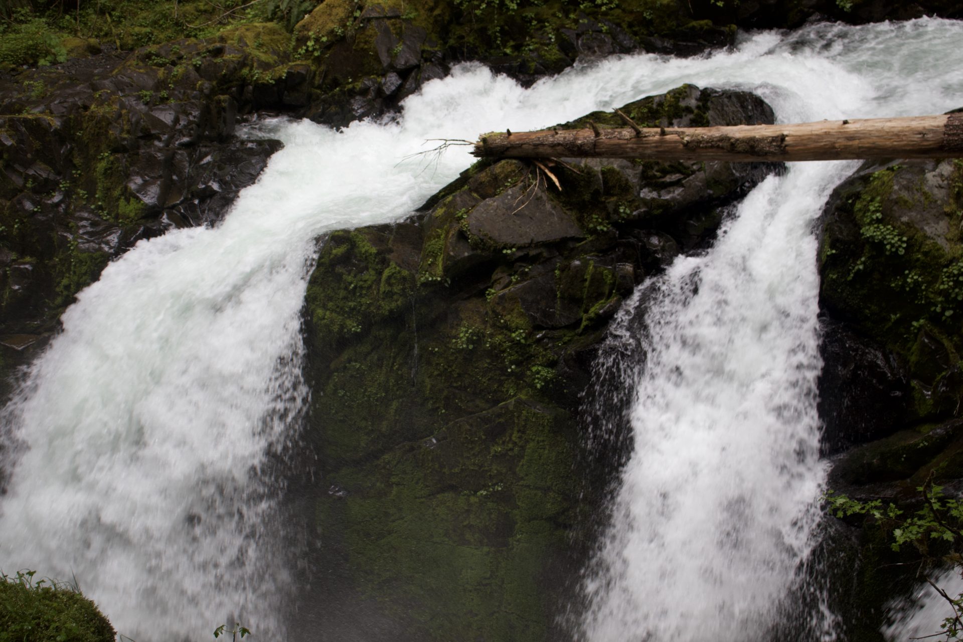 Sol Duc Falls Hike
