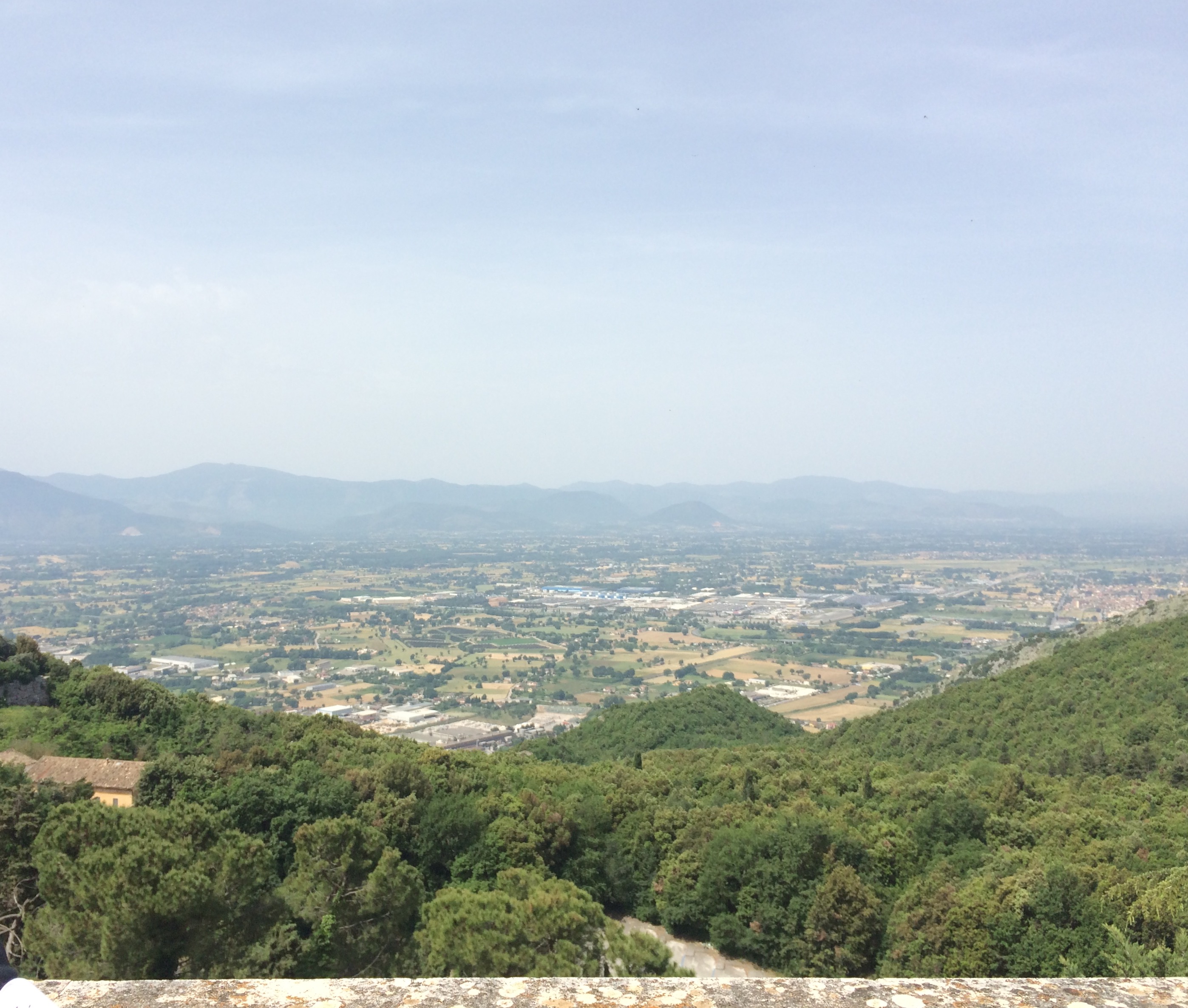 The view from the Abbey