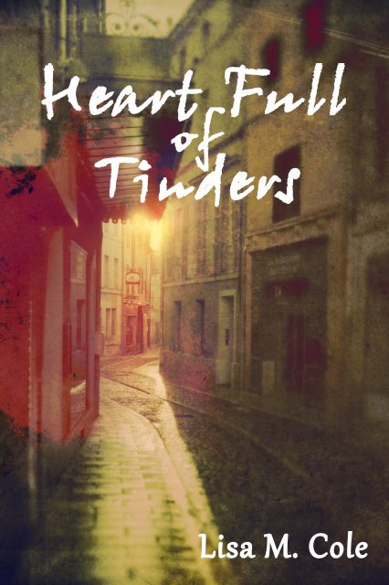 Heart Full of Tinders Cover