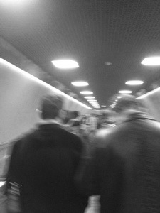 20140401-182125.jpg