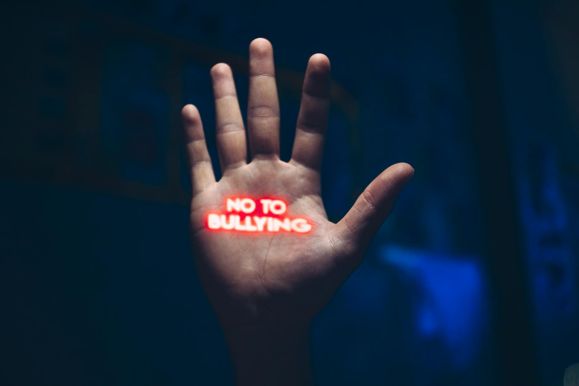 palm with no to bullying message
