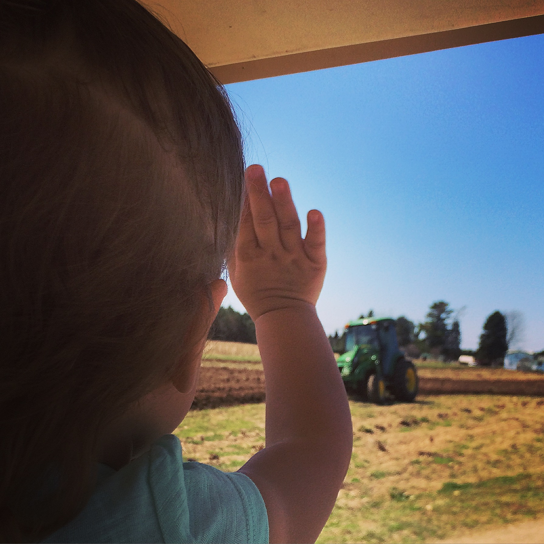 Baby Looking at Field